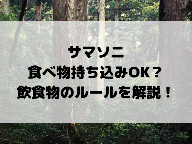 サマソニ食べ物持ち込みOK？飲食物のルールを解説！
