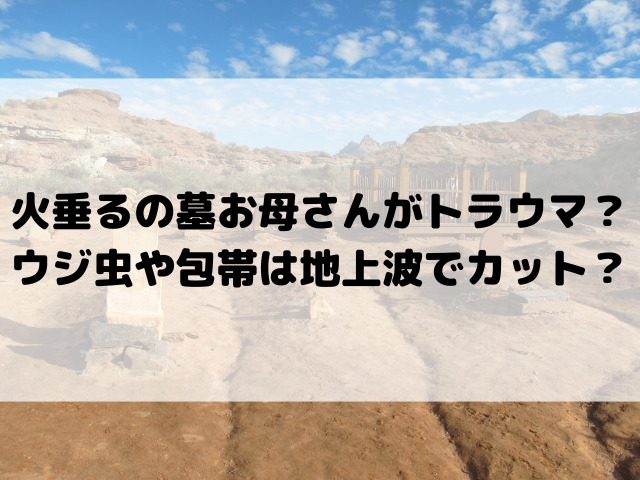 火垂るの墓お母さんがトラウマ？ウジ虫や包帯は地上波でカット？